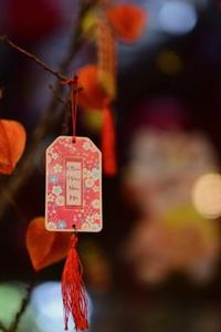xì dách di động Debet